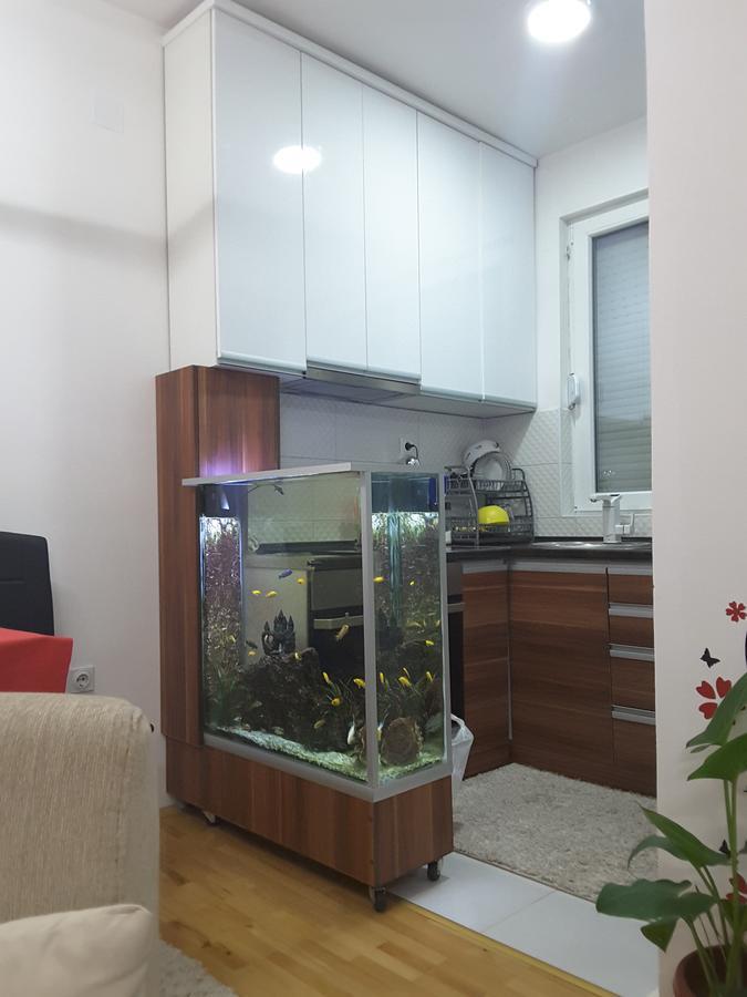 Apartment เวเลส ภายนอก รูปภาพ